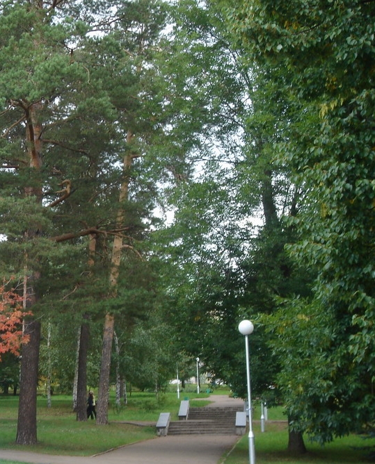 парк Ленина